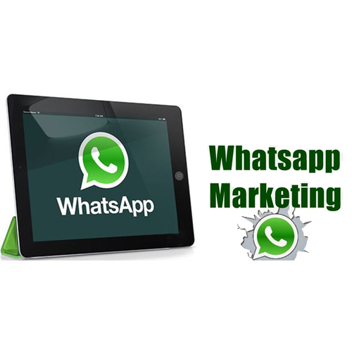 Bulk Whatsapp Services